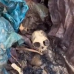 Pequeno cranio é encontrado dentro de saco plático e intriga moradores de Saquarema