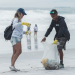 Mutirão ambiental na Praia Grande abre programação da WTR em Arraial do Cabo