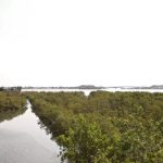 ONU reconhece projeto de Cabo Frio como Ação Oficial da Década dos Oceanos