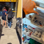 Mulher é presa em clínica estética de Cabo Frio por manter medicamentos vencidos e produtos controlados