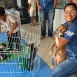 Feira de Adoção Animal em Cabo Frio vacina 231 cães e gatos contra a raiva