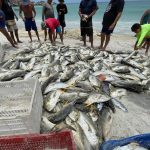 Arraial do Cabo abre inscrições para auxílio de até R$ 500 mensais a pescadores