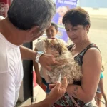 Cabo Frio promove Dia D de Vacinação Antirrábica neste sábado (26)